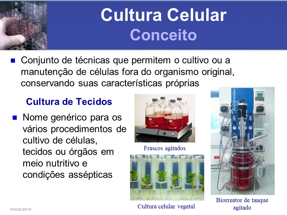 Manipulação genética de células animais e vegetais em cultura slide 2