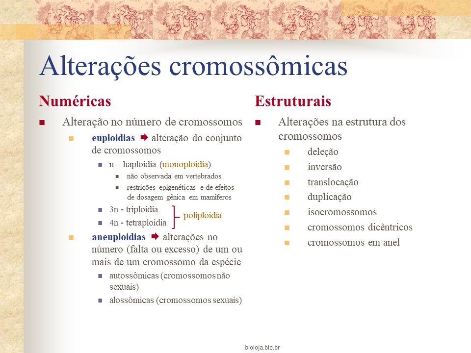 Alterações cromossômicas numéricas slide 2