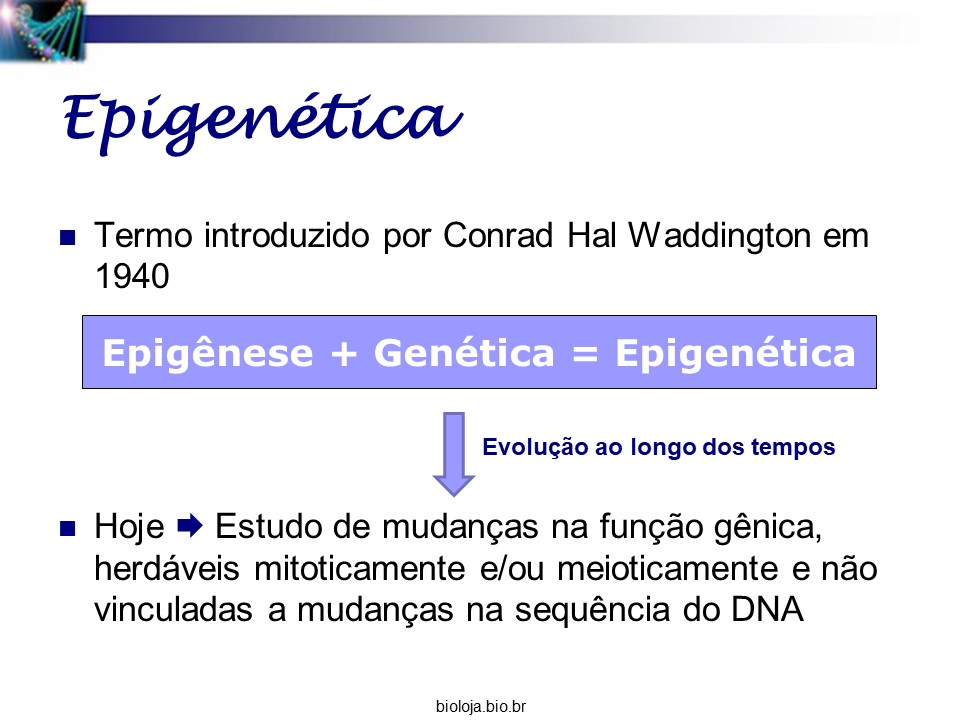 Herança epigenética slide 2