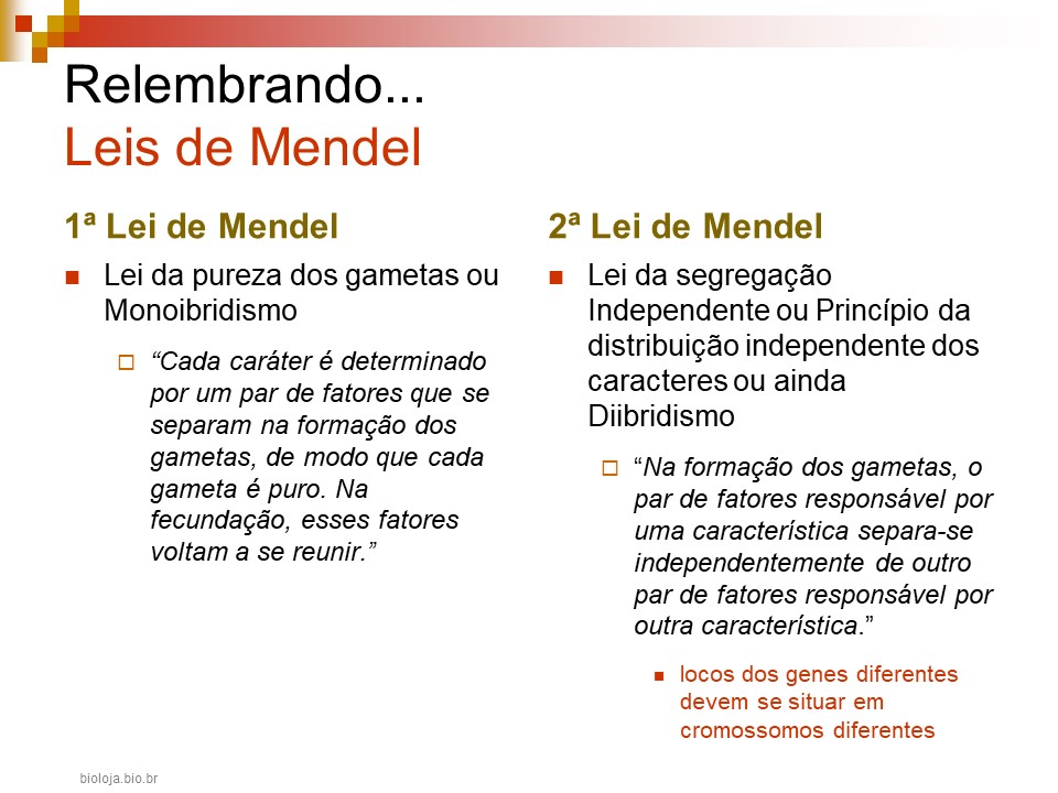 Mendelismo e suas extensões slide 2