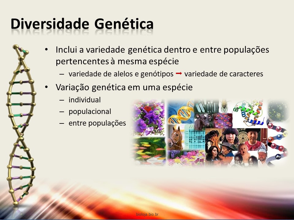 Mecanismos de recombinação genética slide 2