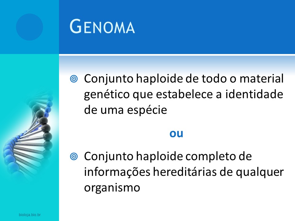 Decifrando o Genoma slide 2