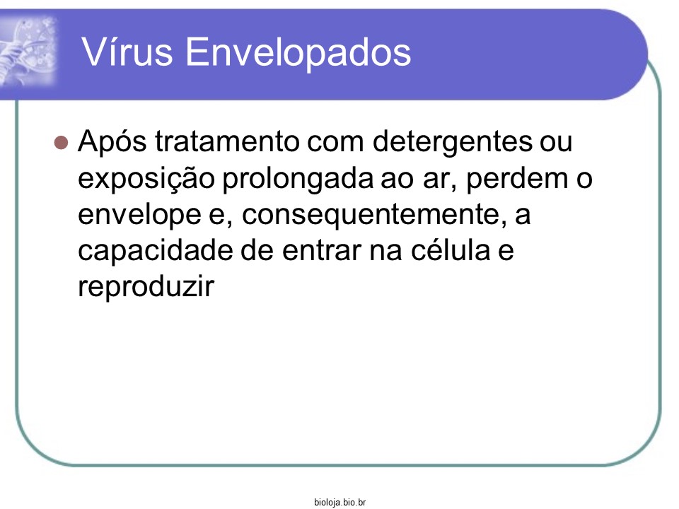 Vírus slide 3