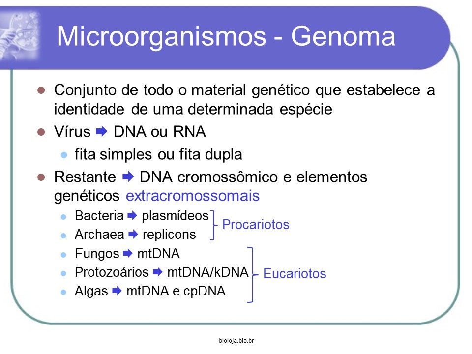 Genética e melhoramento de microorganismos slide 3