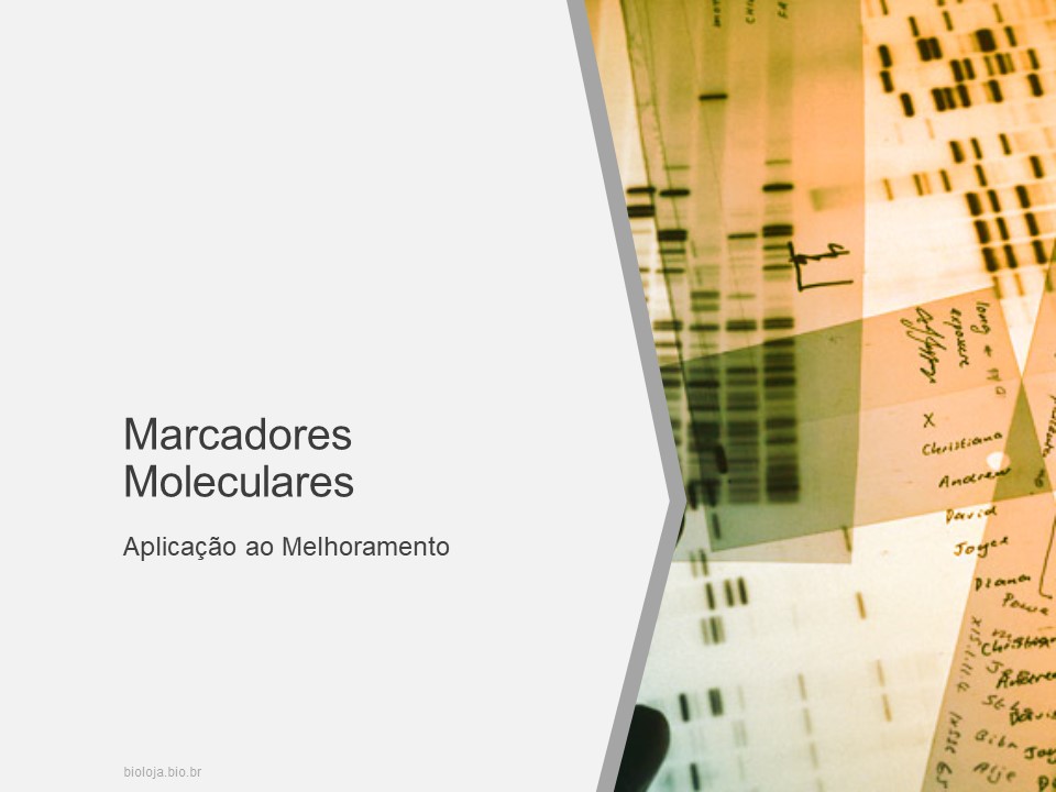 Marcadores moleculares e biotecnologia aplicados ao melhoramento slide 3
