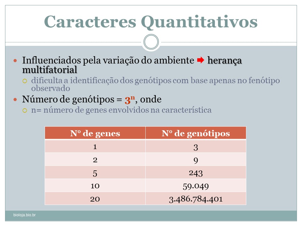 Herança quantitativa e herdabilidade slide 3