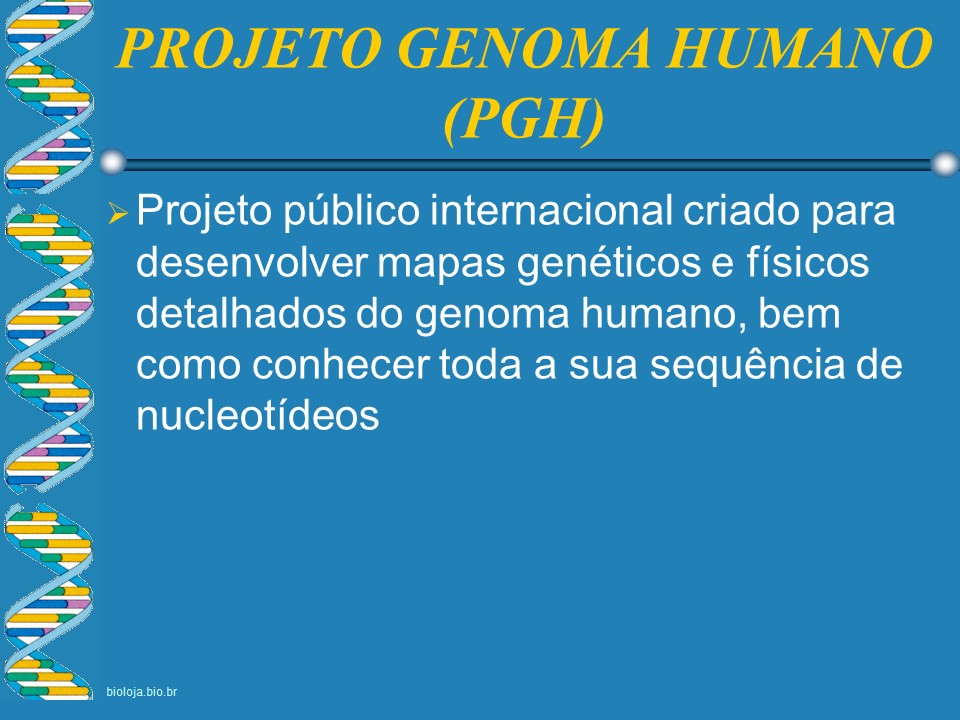 Genoma humano slide 3