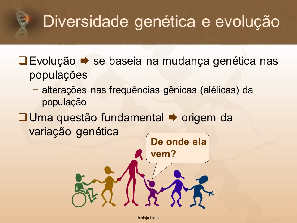 Origem e Manutenção da Diversidade Genética slide 3