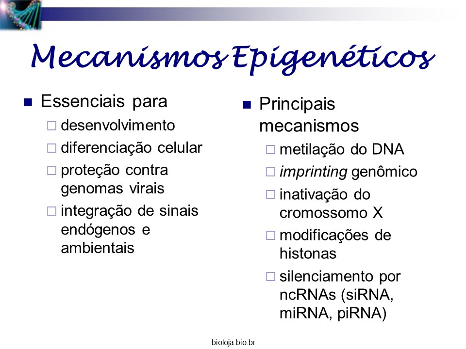 Herança epigenética slide 3