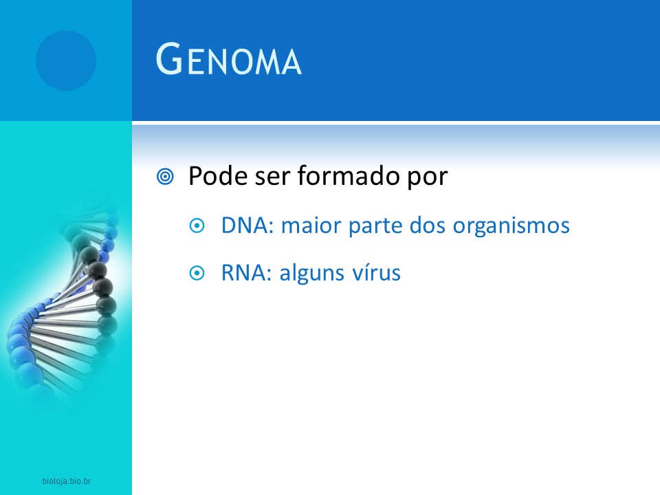 Decifrando o Genoma slide 3