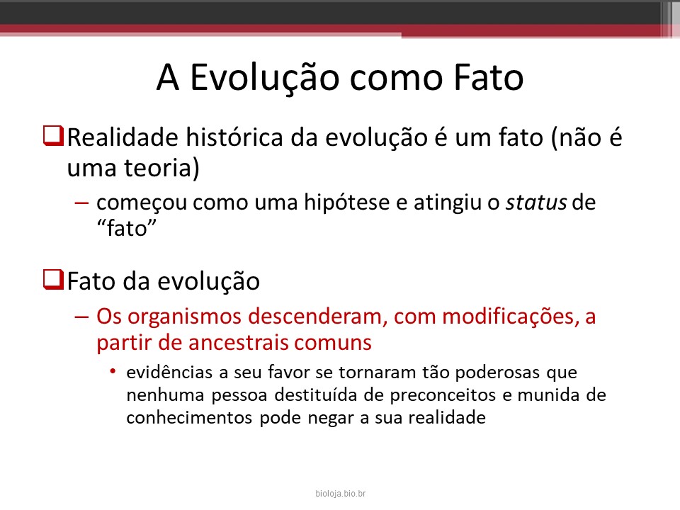 Introdução à Biologia Evolutiva slide 4