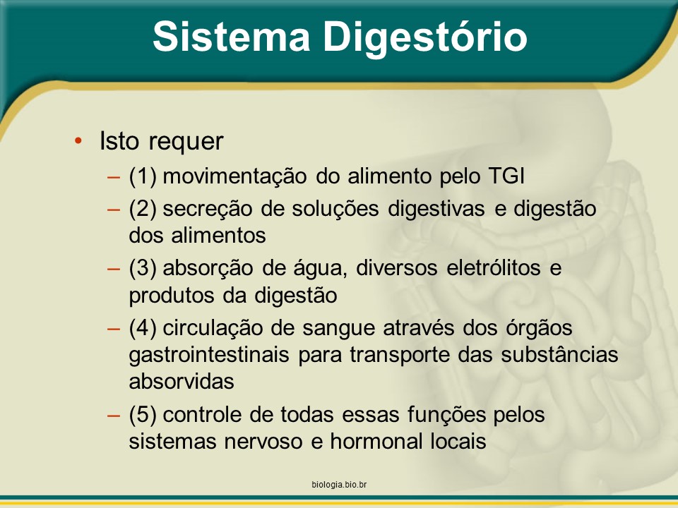 Sistema digestório: Visão geral (BRINDE: Colesterol) slide 4