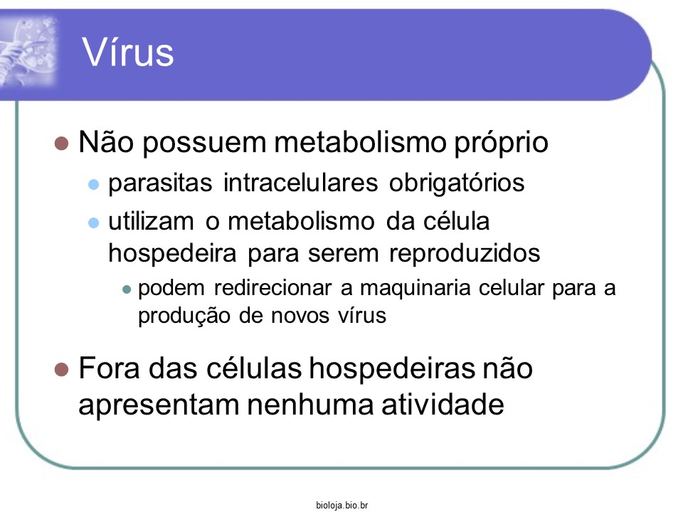 Vírus slide 4