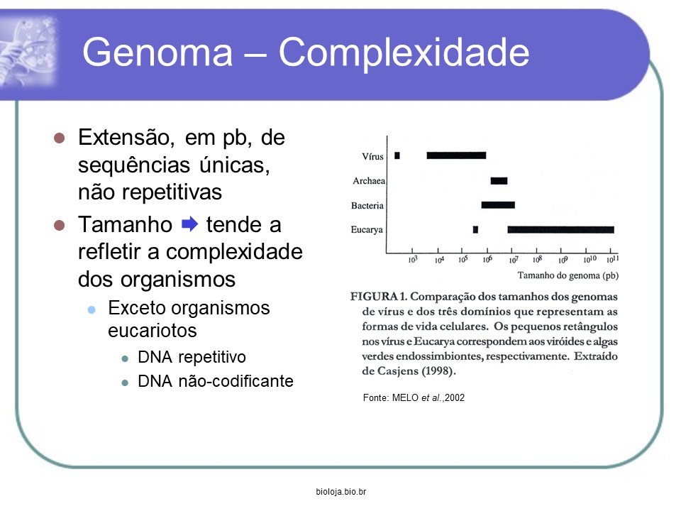 Genética e melhoramento de microorganismos slide 4