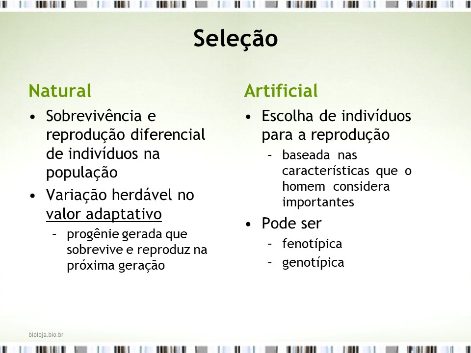 Bases do melhoramento genético clássico vegetal e animal slide 4