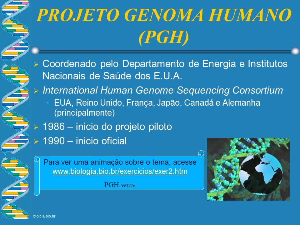 Genoma humano slide 4