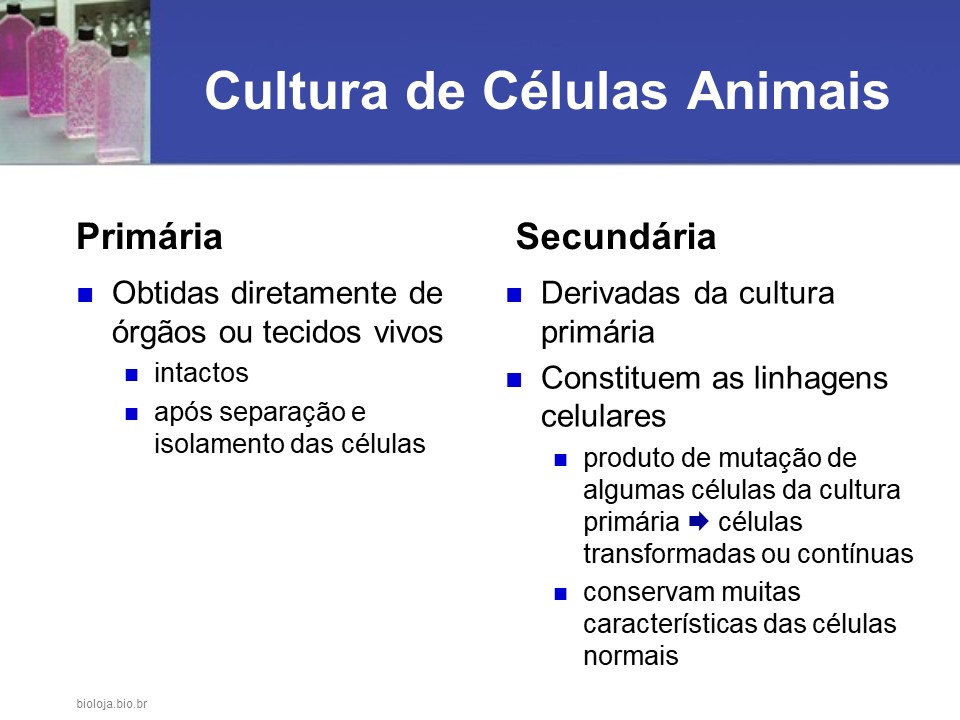 Manipulação genética de células animais e vegetais em cultura slide 4