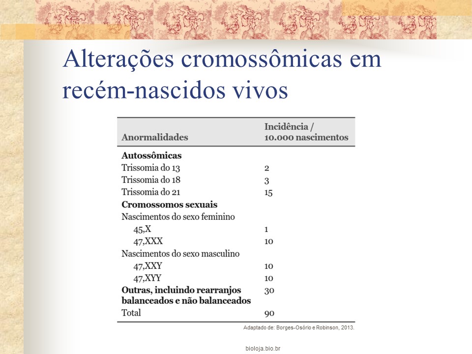 Alterações cromossômicas estruturais slide 4