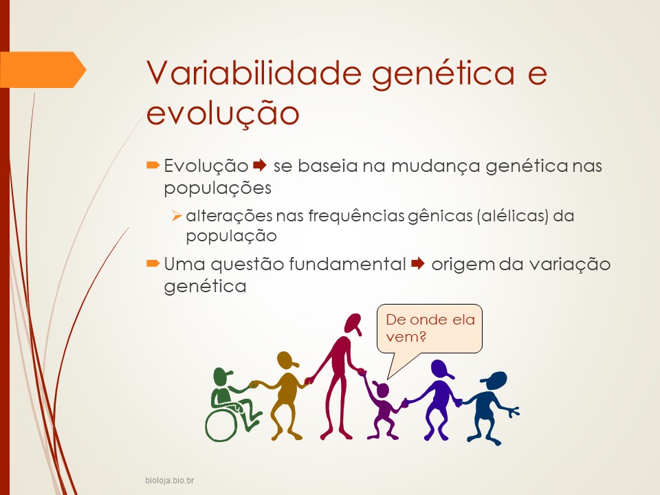 Princípios de evolução: variabilidade, seleção e adaptação slide 4