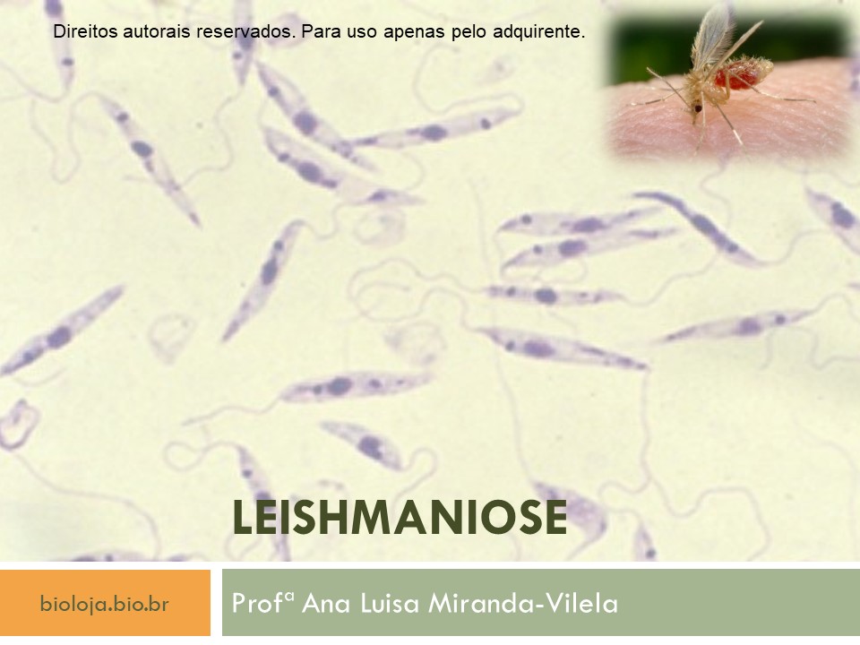 Leishmaniose slide 0