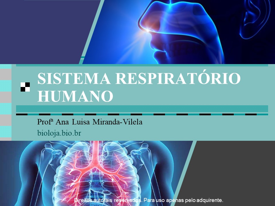 Sistema respiratório humano slide 0