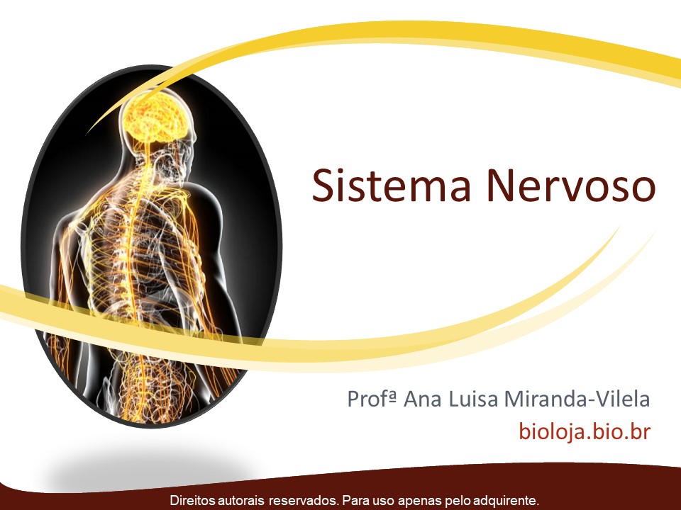 Sistema nervoso slide 0