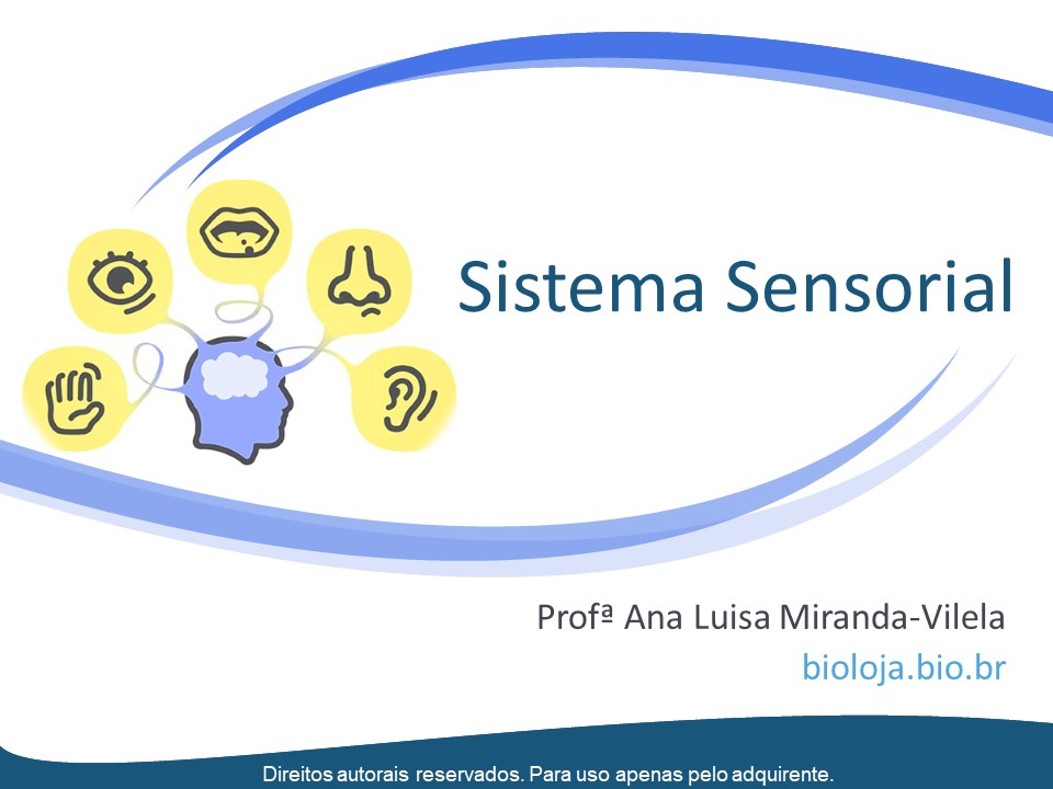 Sistema sensorial slide 0