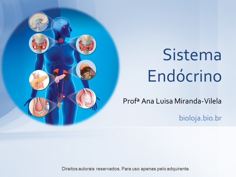 Sistema endócrino slide 0