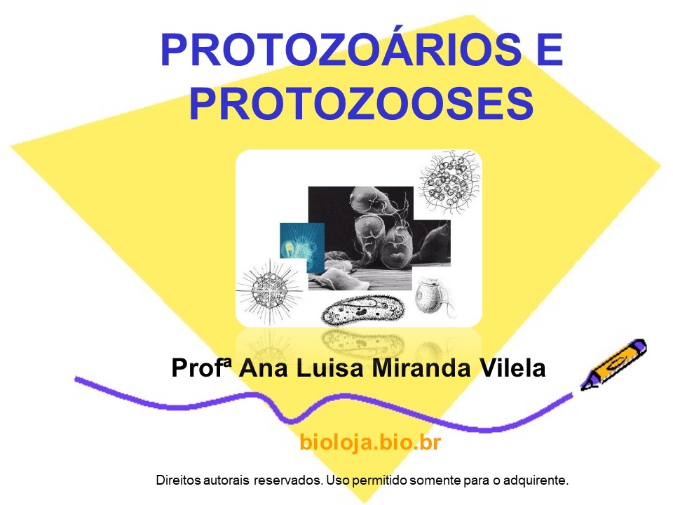 Protozoários e protozooses slide 1