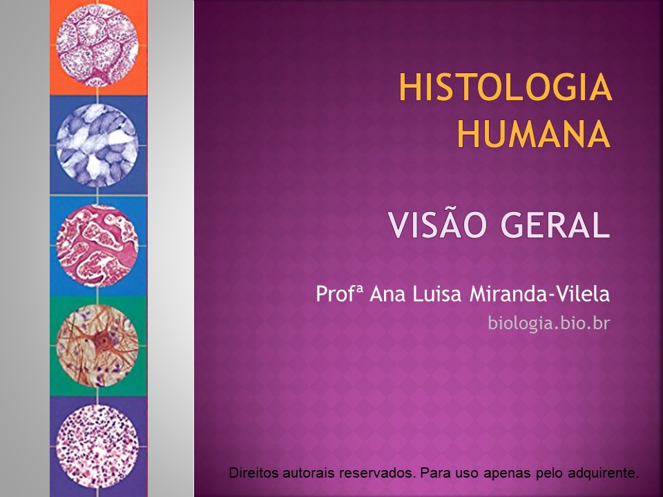 Histologia Humana: visão geral slide 0