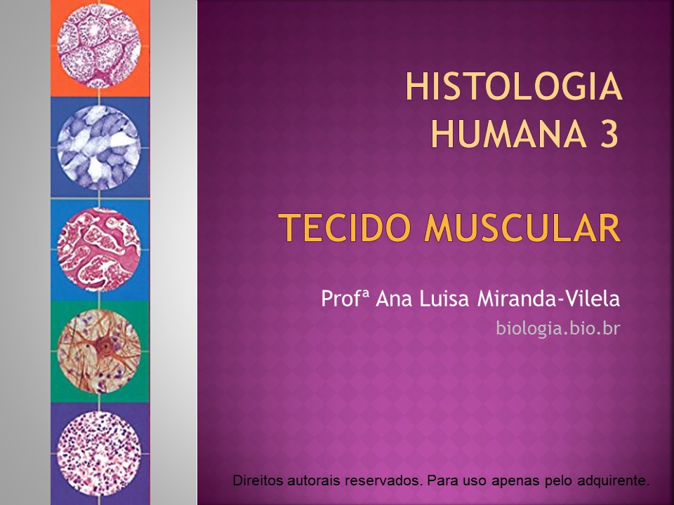Histologia Humana 3: tecido muscular slide 0