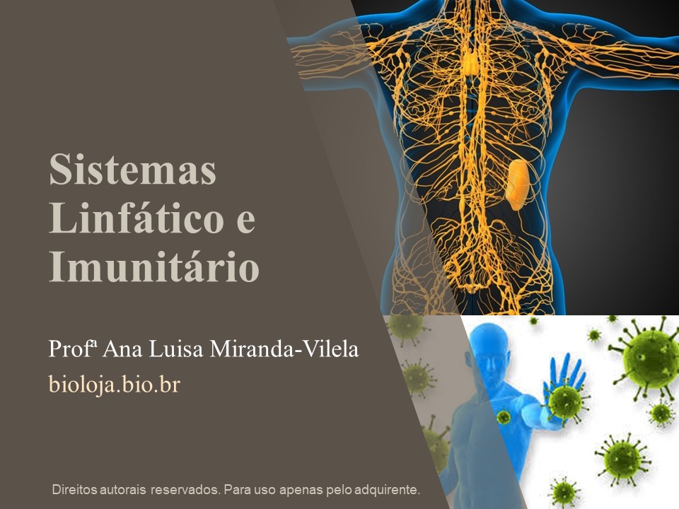 Sistemas linfático e imunitário slide 0