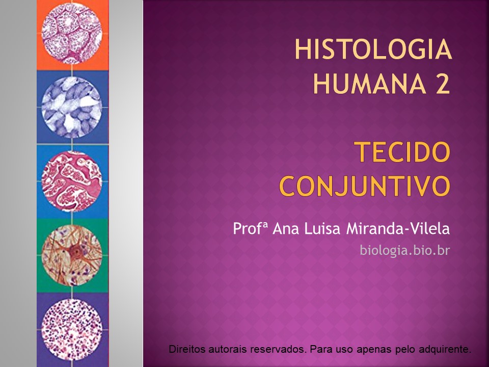 Histologia Humana 2: tecido conjuntivo slide 0