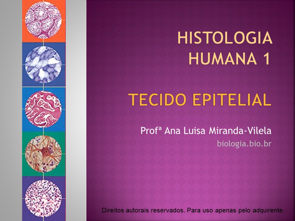Histologia Humana 1: tecido epitelial slide 0