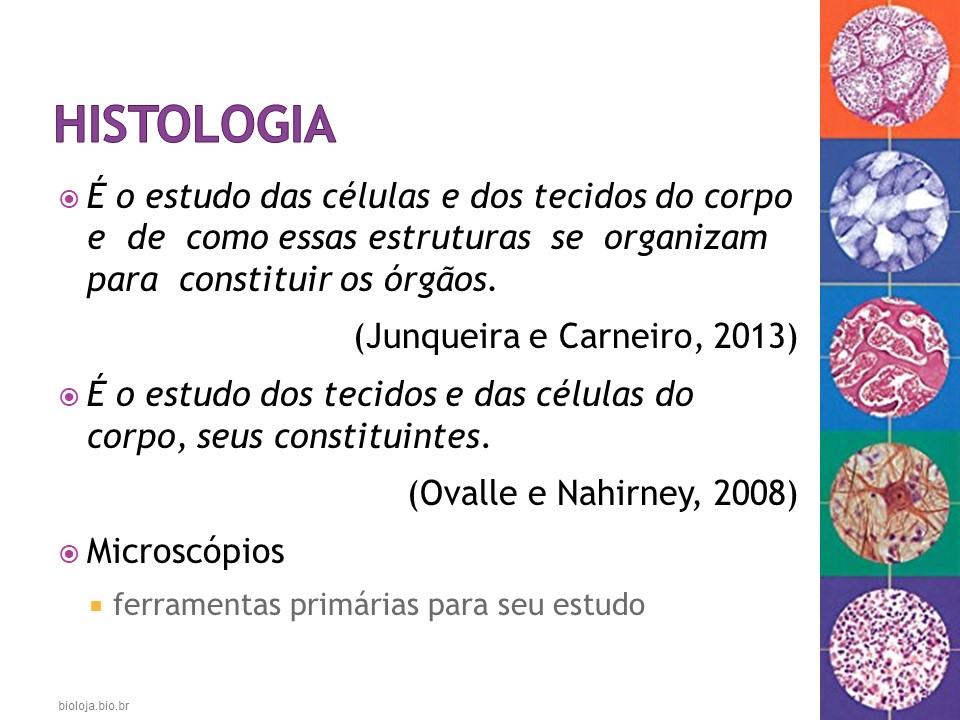 Histologia Humana: visão geral slide 1