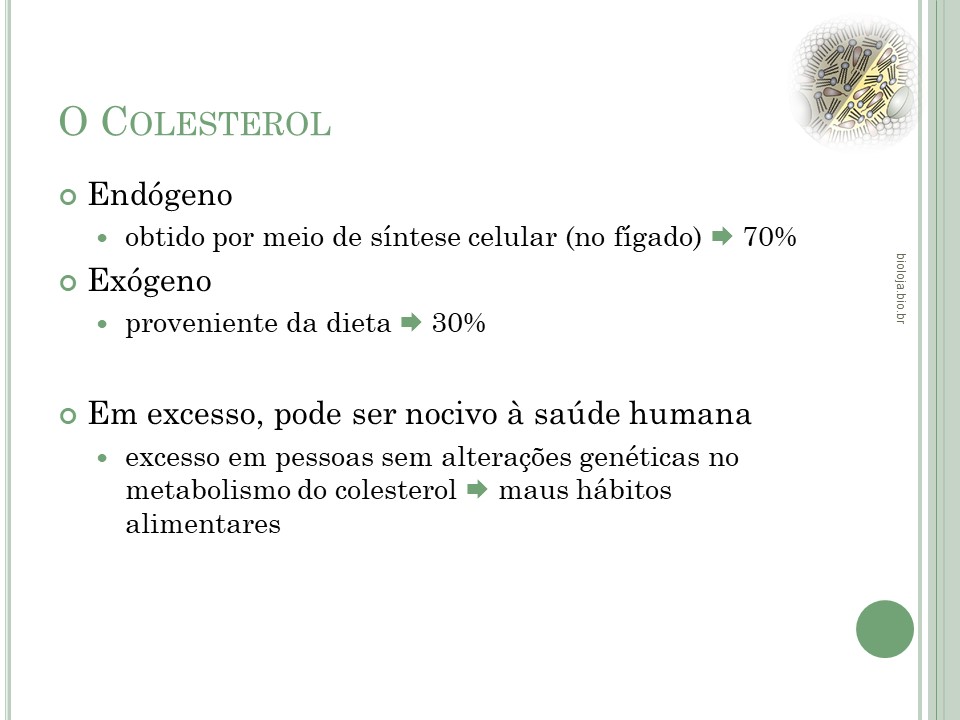 Colesterol slide 2