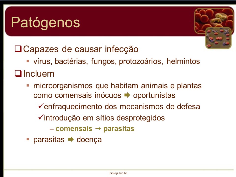 Interações patógeno-hospedeiro slide 2
