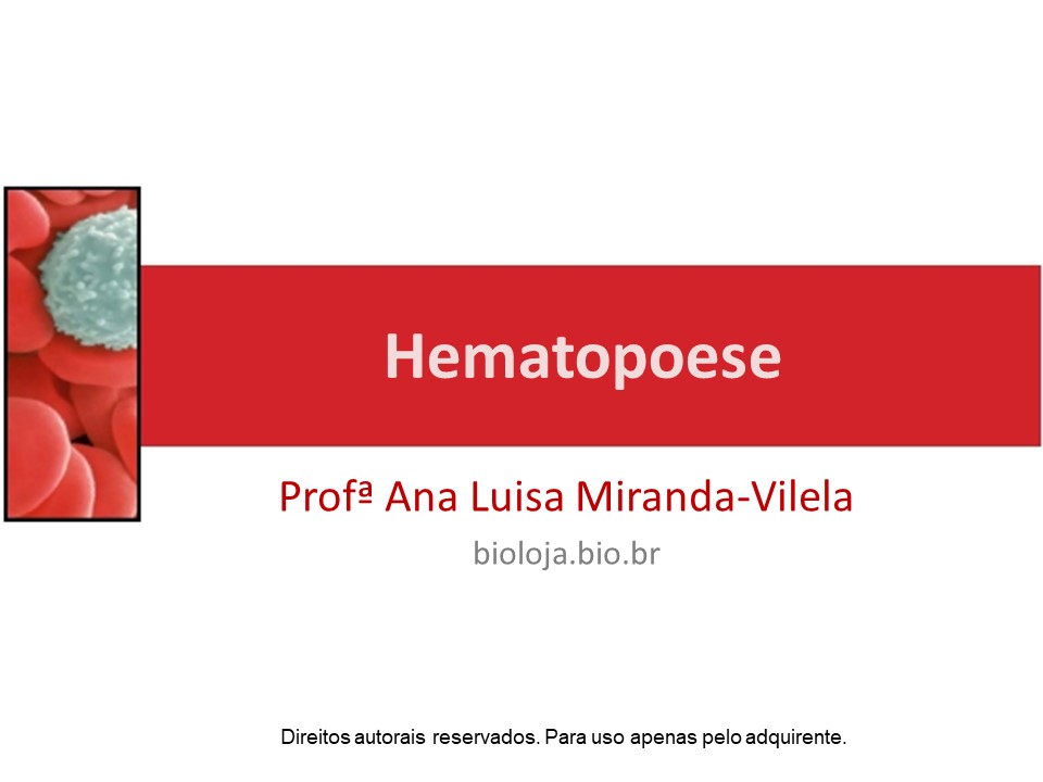 Hematopoese slide 0