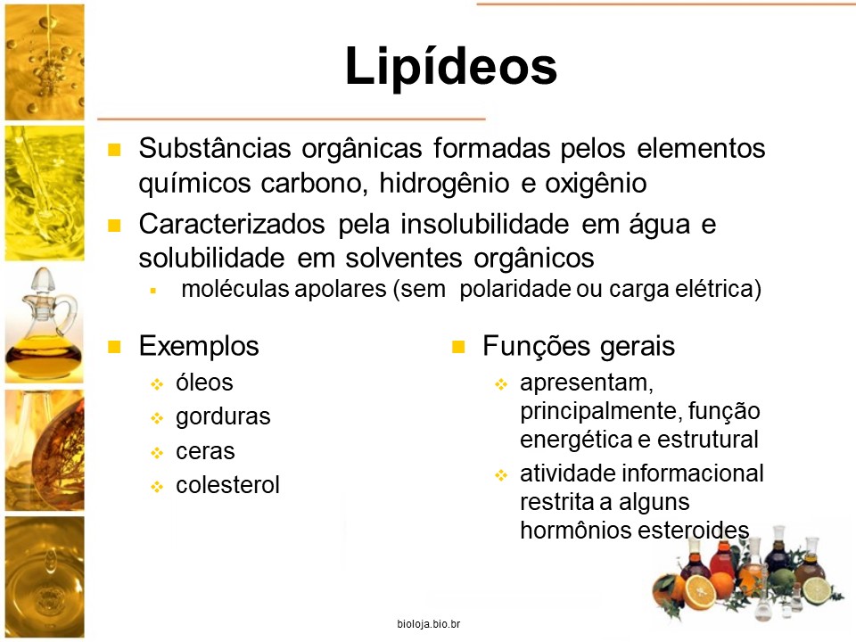 Bioquímica: Química celular e nutrição 3: Lipídeos slide 1