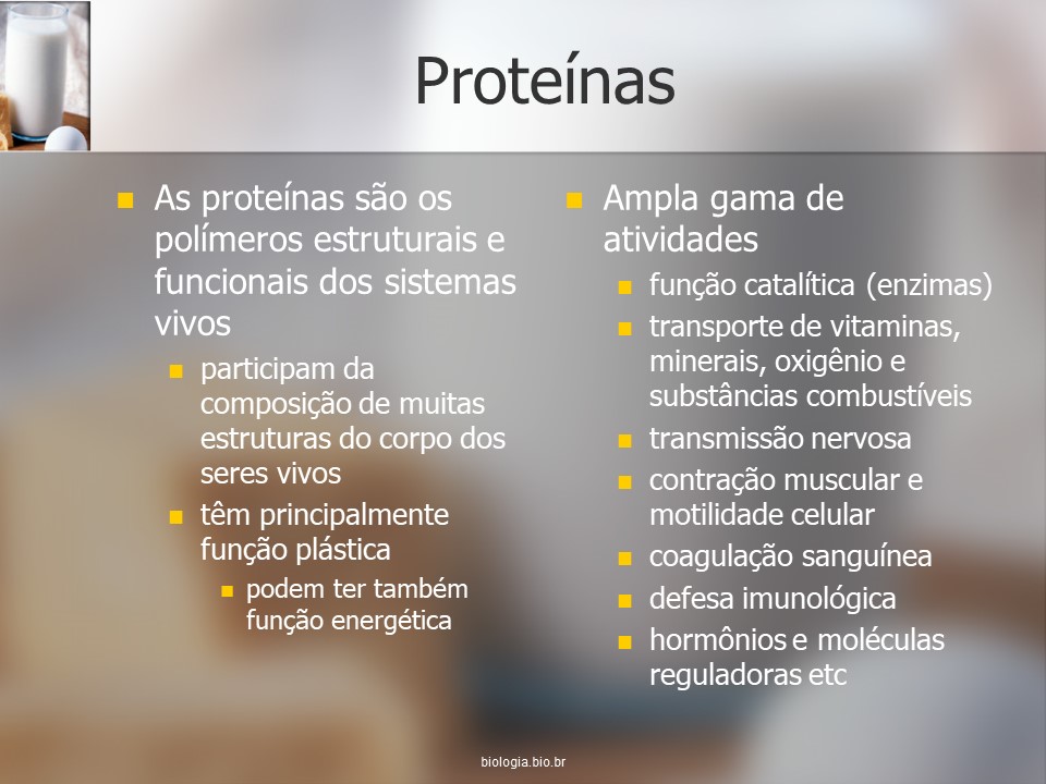 Química celular e nutrição 4: Proteínas slide 2