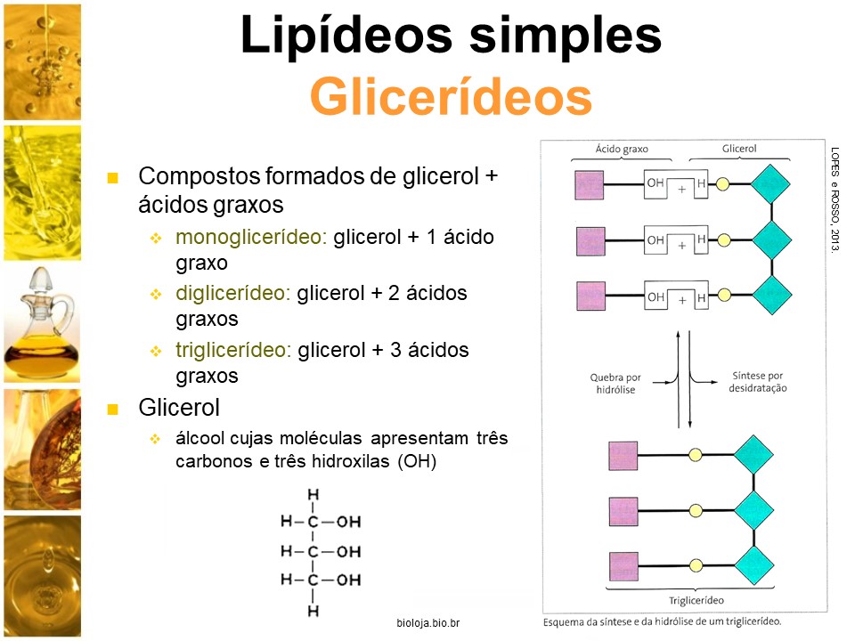 Bioquímica: Química celular e nutrição 3: Lipídeos slide 3