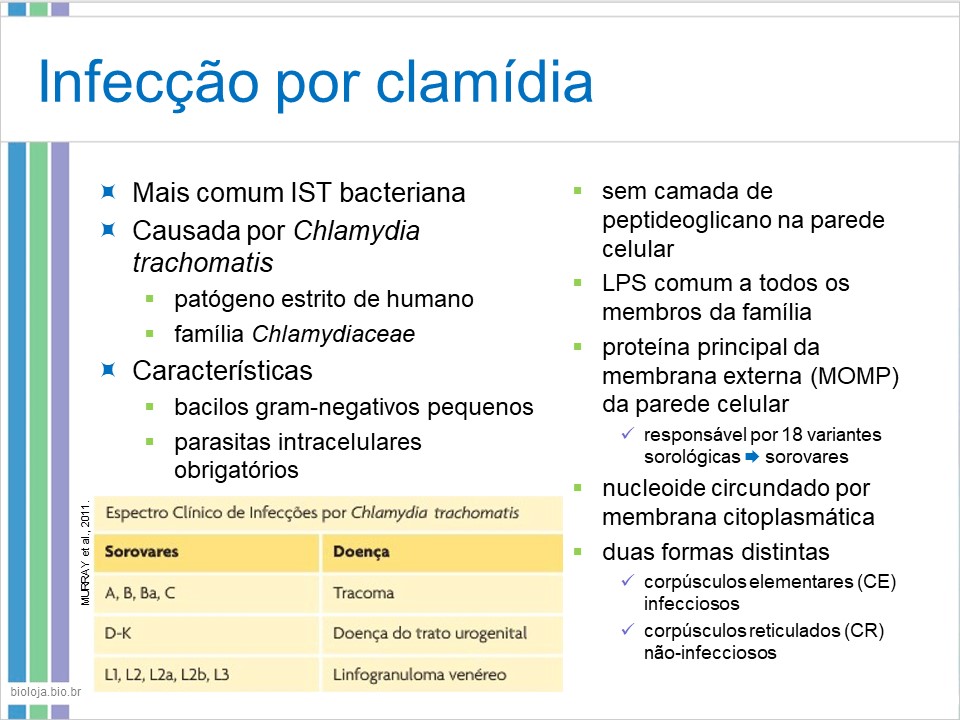 Infecções sexualmente transmissíveis 3 (IST-3) slide 3