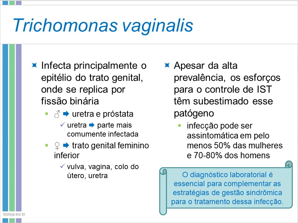 Infecções sexualmente transmissíveis 4 (IST-4) slide 4