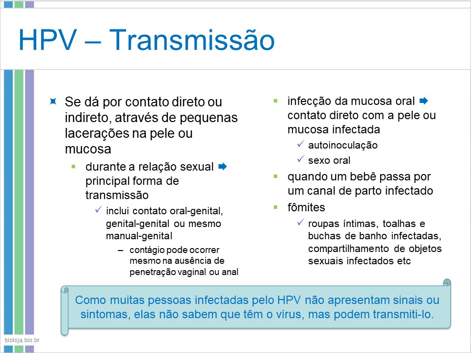 Infecções sexualmente transmissíveis 2 (IST-2) slide 4