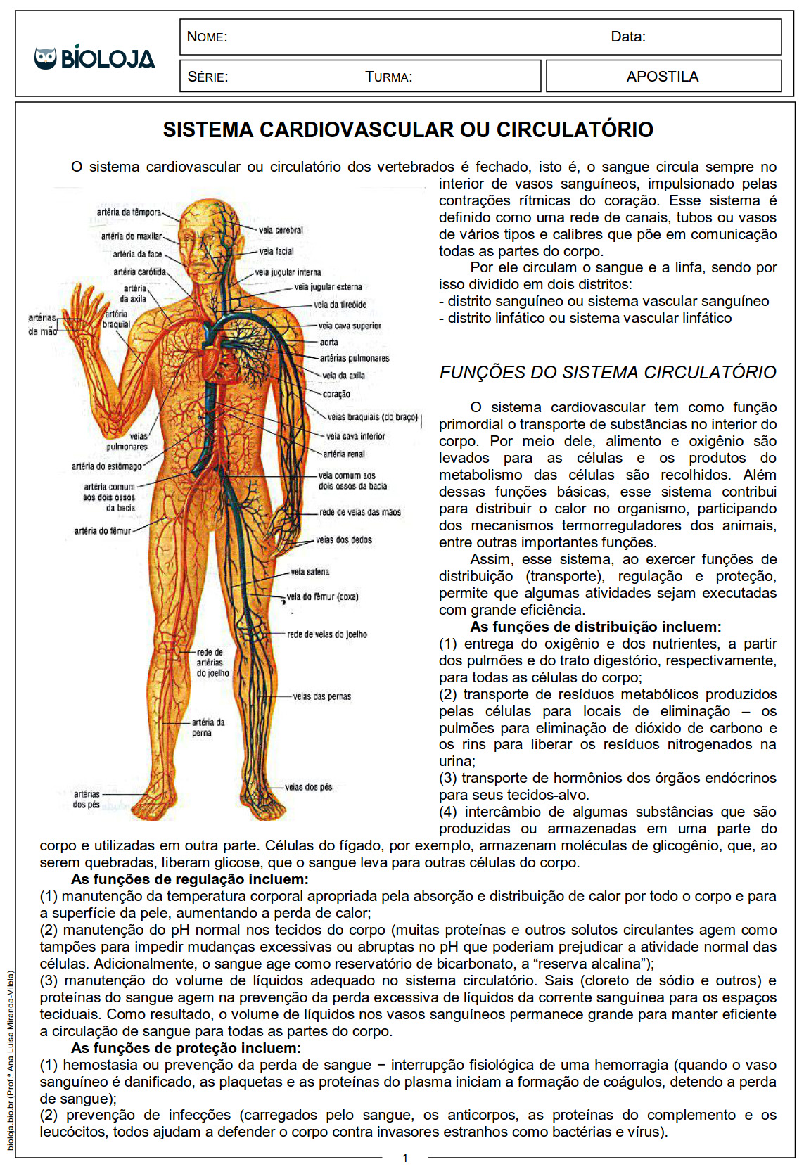 Apostila Fisiologia de órgãos e sistema I: sistema circulatório, sangue e coagulação sanguínea slide 1