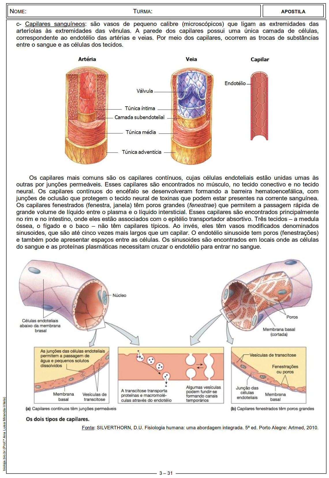 Apostila Fisiologia de órgãos e sistema I: sistema circulatório, sangue e coagulação sanguínea slide 3