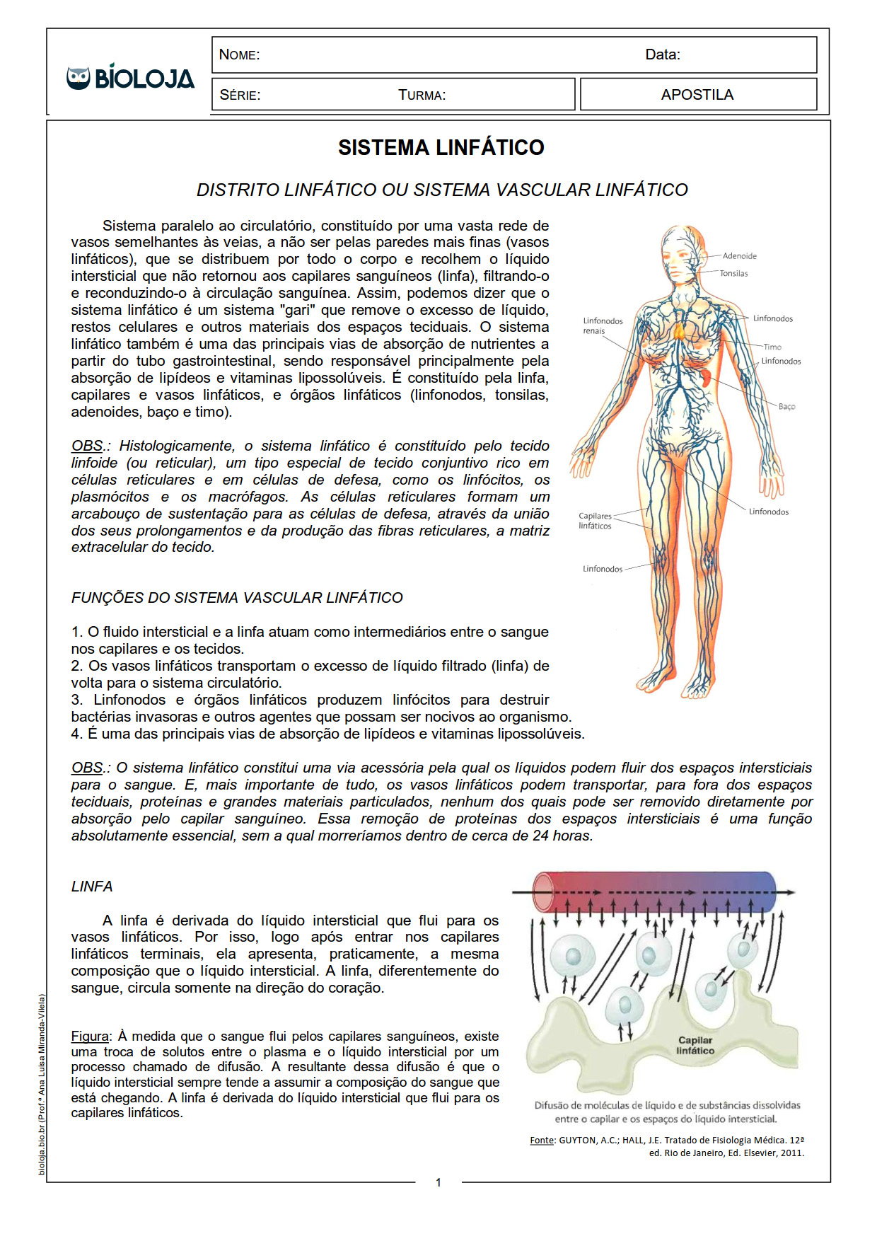 Apostila Fisiologia de órgãos e sistema II: sistemas linfático e imunitário slide 1