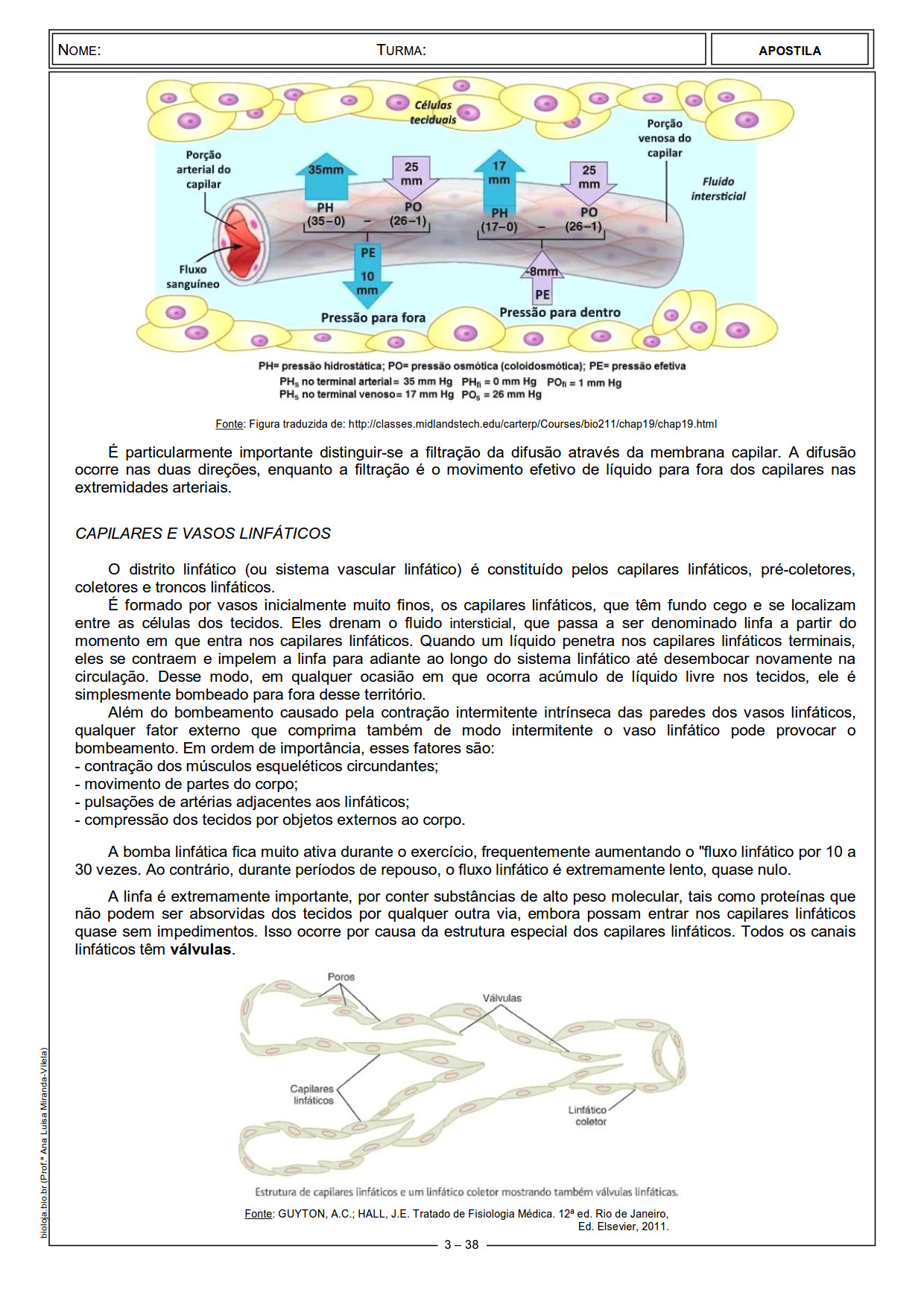 Apostila Fisiologia de órgãos e sistema II: sistemas linfático e imunitário slide 3