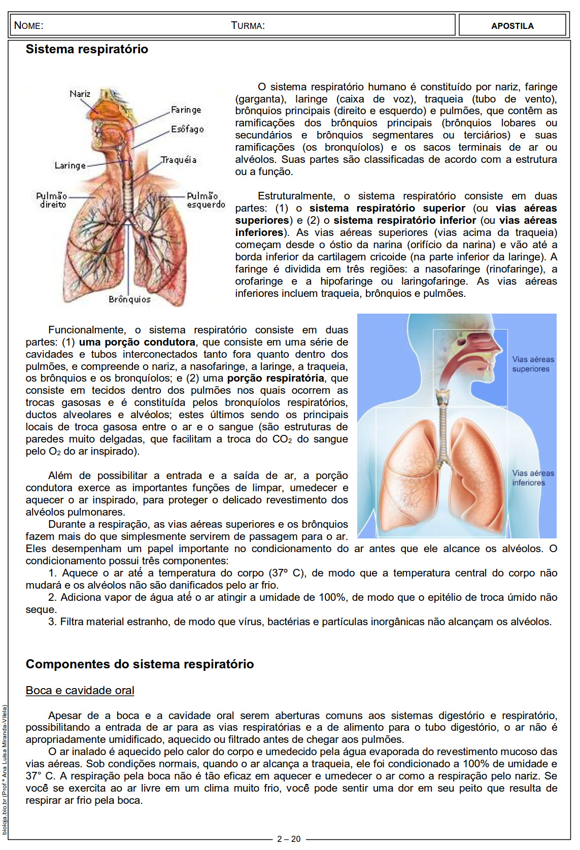 Apostila Fisiologia de órgãos e sistema III: sistema respiratório slide 2