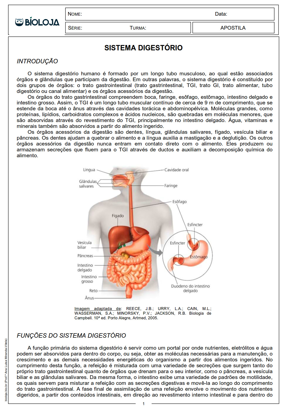 Apostila Fisiologia de órgãos e sistema IV: sistema digestório slide 1